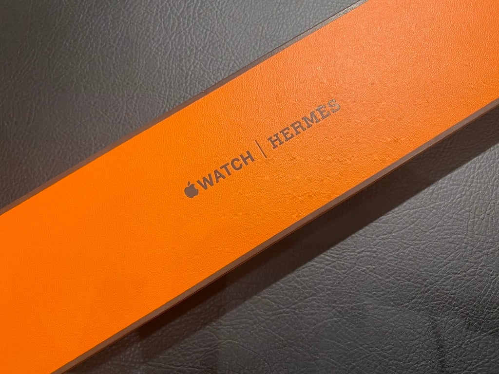 Apple Watch Hermes Series8 41mm シルバーステンレススチール MNN13J/A