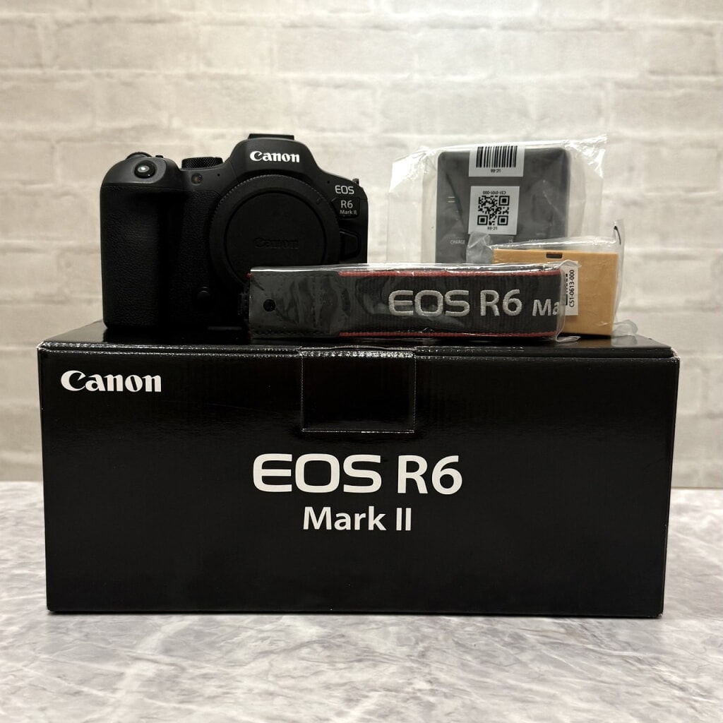 Nikon/ニコン EOS R6 MarkII ボディ