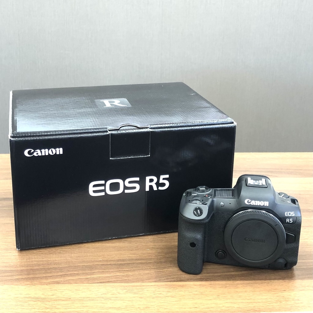 キャノン DS126831 EOS R5 ミラーレス 一眼カメラ