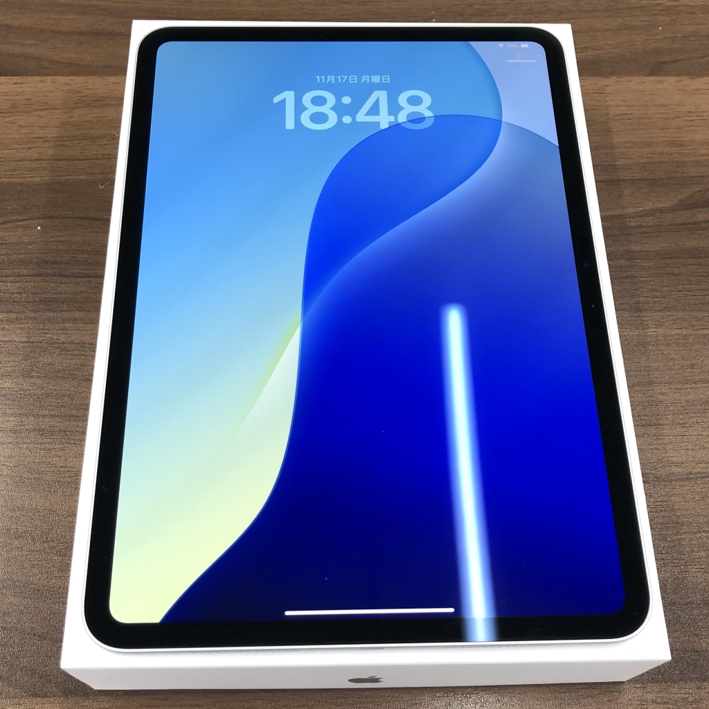 Apple iPad Pro 11インチ 第5世代 Wi-Fi 256GB シルバー MVV93J/A