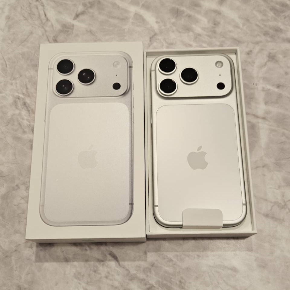 国内版SIMフリー iPhone17Pro 1TB シルバー MG8D4J/A