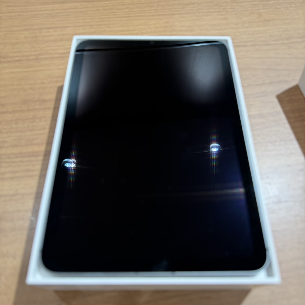 Apple iPad mini 第7世代 8.3インチ Wi-Fi+Cellular 128GB MXPN3J/A