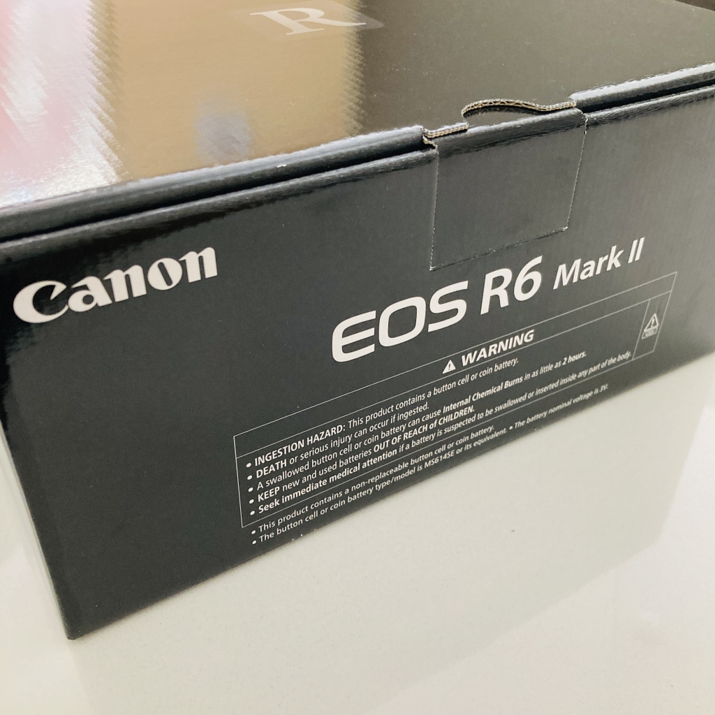 キャノン EOS R6 MarkII