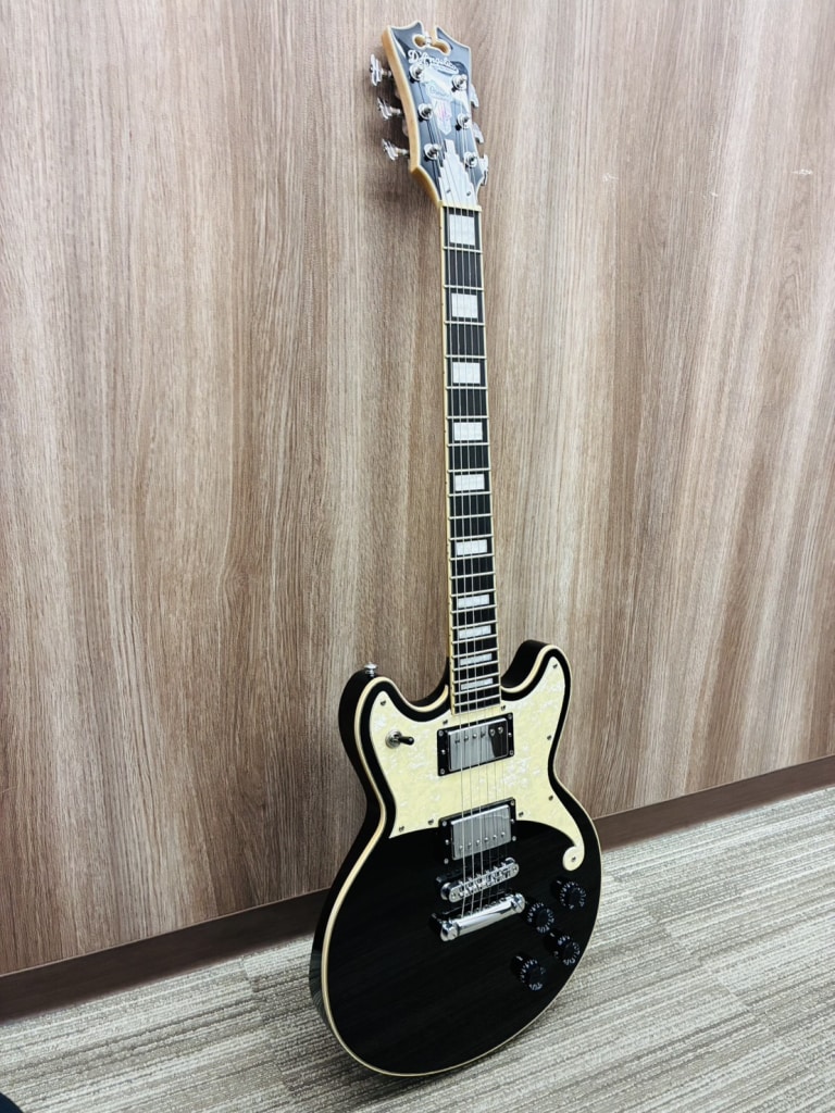 ディアンジェリコ Premier Brighton Black Flake エレキギター