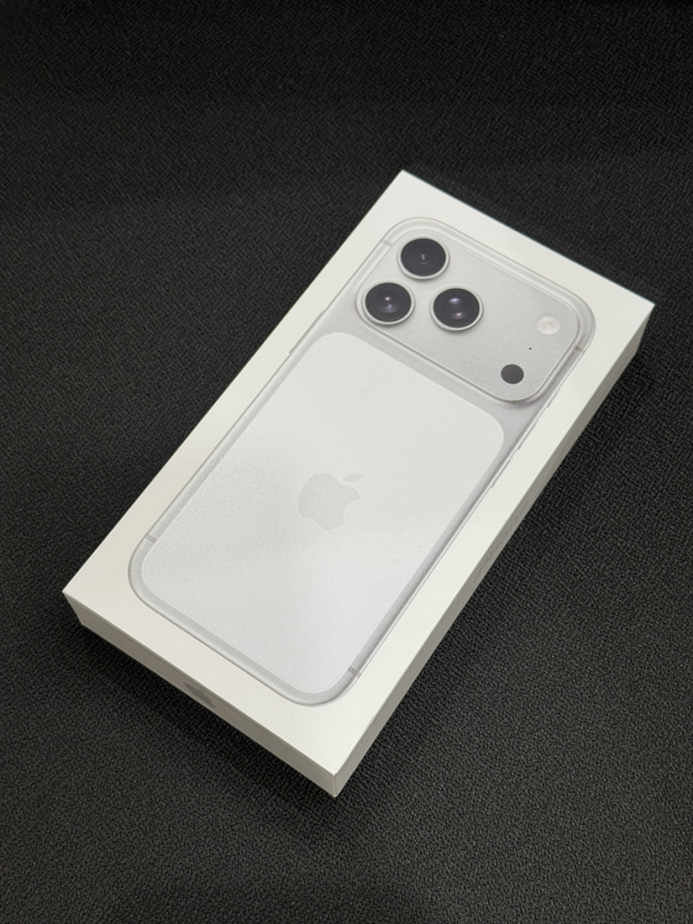 国内版SIMフリー iPhone17 Pro 1TB シルバー MG8D4J/A