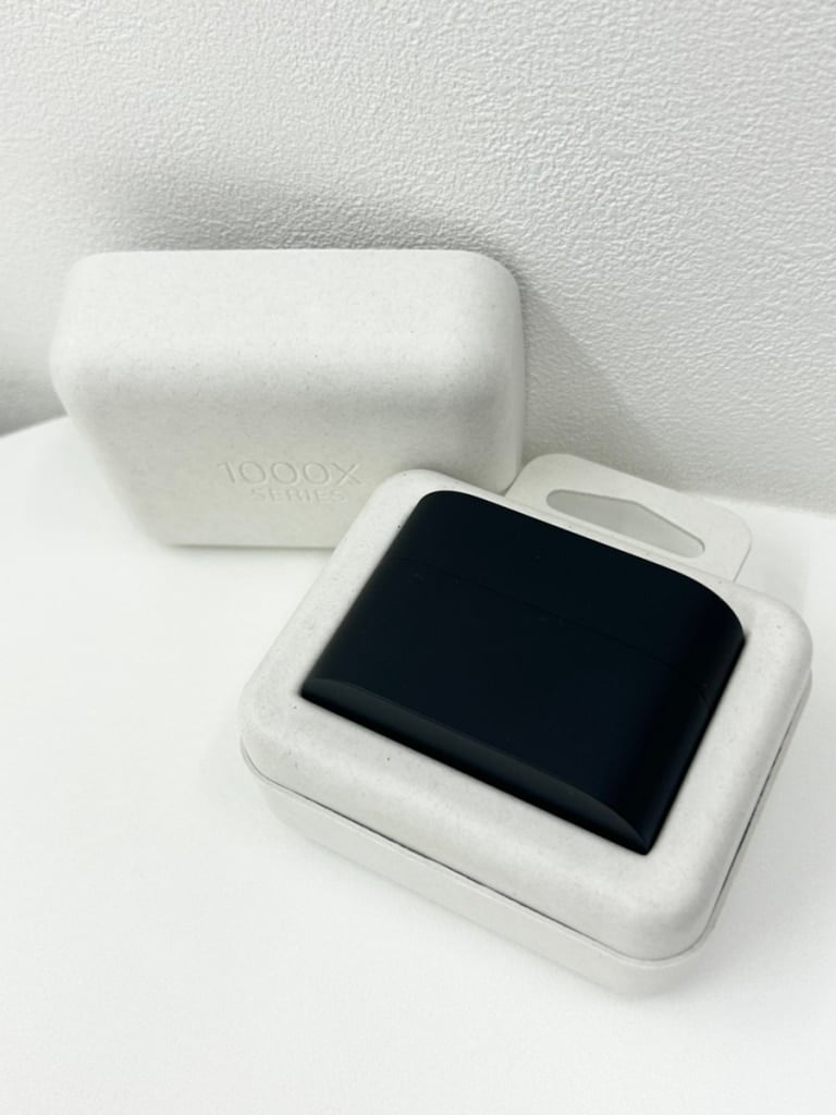 SONY ワイヤレスイヤホン WF-1000XM6