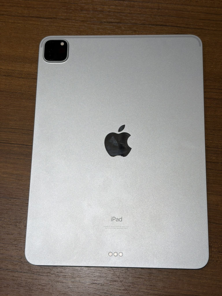 Apple iPad Pro 第3世代 11インチ シルバー 512GB
