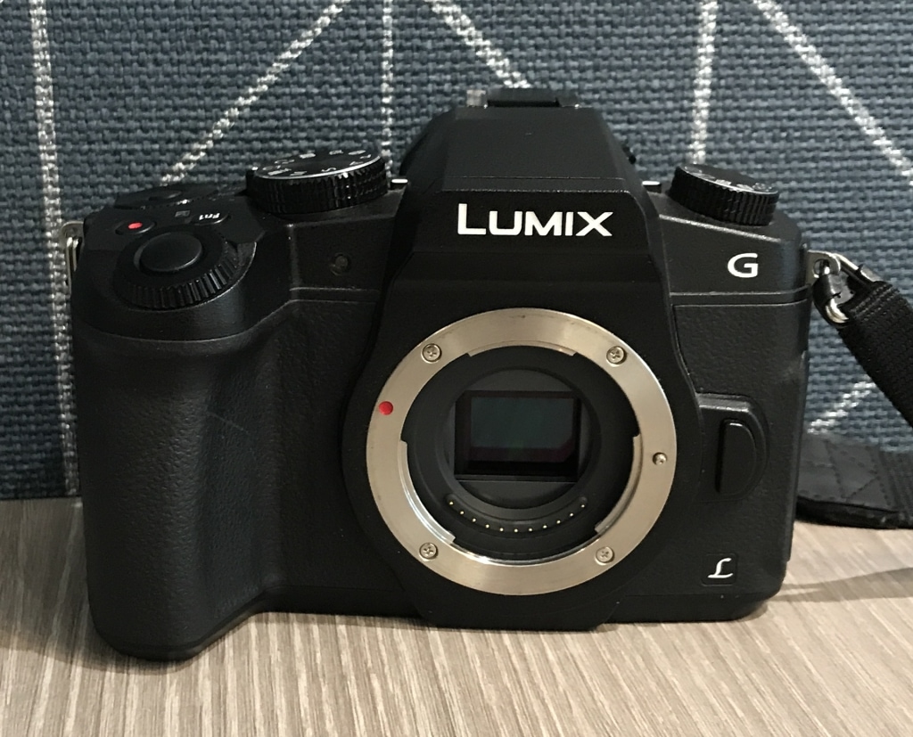 パナソニック LUMIX G ミラーレス一眼カメラ ボディ DMC-G8
