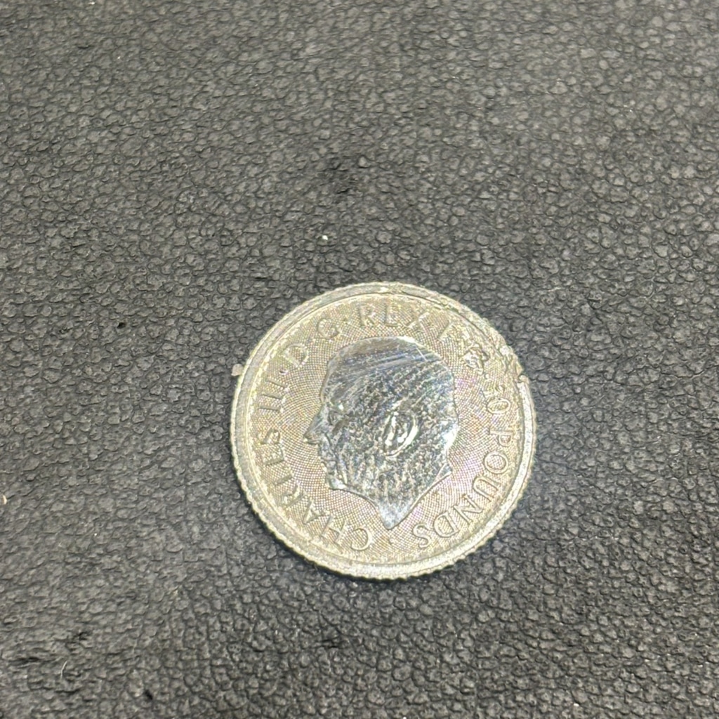 PT1000C(ブリタニアプラチナ貨 1/10oz)